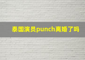 泰国演员punch离婚了吗