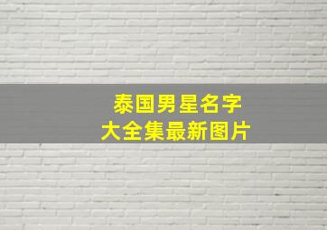 泰国男星名字大全集最新图片