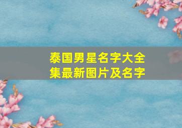 泰国男星名字大全集最新图片及名字