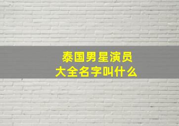 泰国男星演员大全名字叫什么