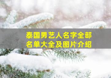 泰国男艺人名字全部名单大全及图片介绍