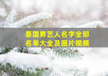 泰国男艺人名字全部名单大全及图片视频