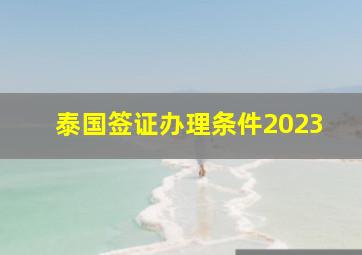 泰国签证办理条件2023