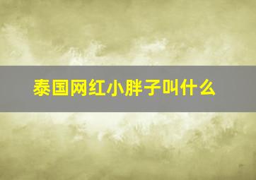 泰国网红小胖子叫什么