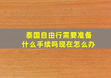 泰国自由行需要准备什么手续吗现在怎么办