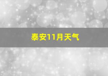 泰安11月天气