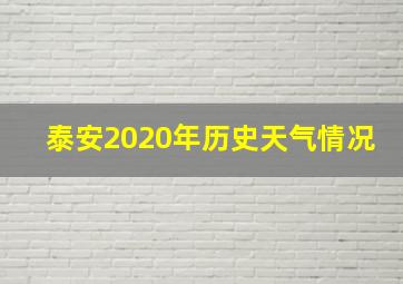 泰安2020年历史天气情况