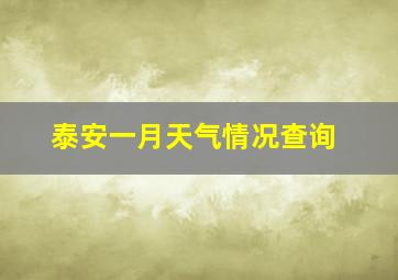 泰安一月天气情况查询