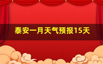 泰安一月天气预报15天