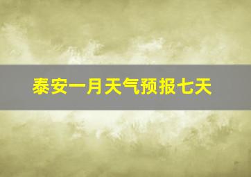 泰安一月天气预报七天