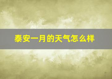 泰安一月的天气怎么样