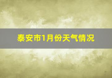 泰安市1月份天气情况