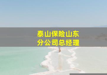 泰山保险山东分公司总经理