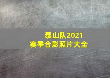 泰山队2021赛季合影照片大全