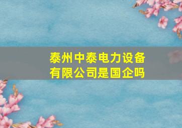 泰州中泰电力设备有限公司是国企吗