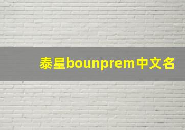 泰星bounprem中文名