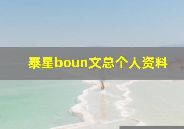 泰星boun文总个人资料