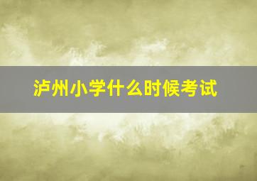 泸州小学什么时候考试