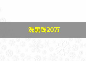 洗黑钱20万