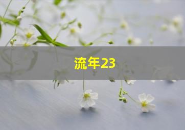 流年23