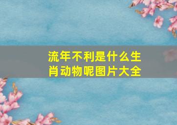 流年不利是什么生肖动物呢图片大全