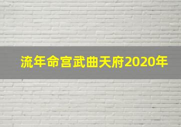 流年命宫武曲天府2020年