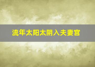 流年太阳太阴入夫妻宫