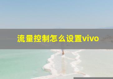 流量控制怎么设置vivo