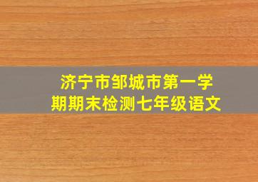 济宁市邹城市第一学期期末检测七年级语文