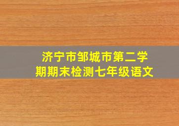 济宁市邹城市第二学期期末检测七年级语文