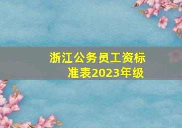 浙江公务员工资标准表2023年级