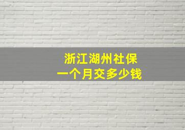 浙江湖州社保一个月交多少钱