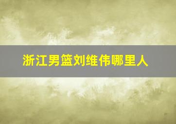 浙江男篮刘维伟哪里人