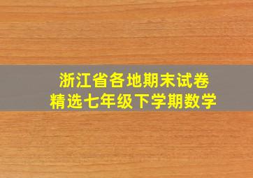 浙江省各地期末试卷精选七年级下学期数学