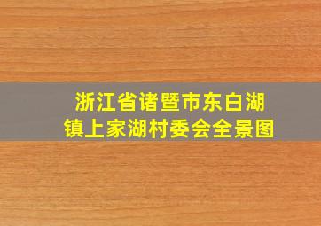 浙江省诸暨市东白湖镇上家湖村委会全景图