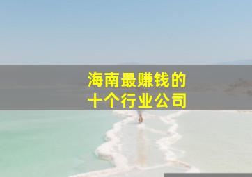 海南最赚钱的十个行业公司