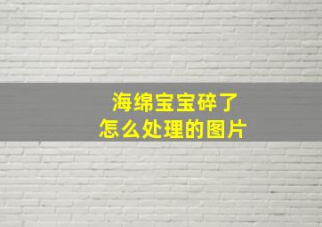 海绵宝宝碎了怎么处理的图片