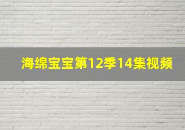 海绵宝宝第12季14集视频