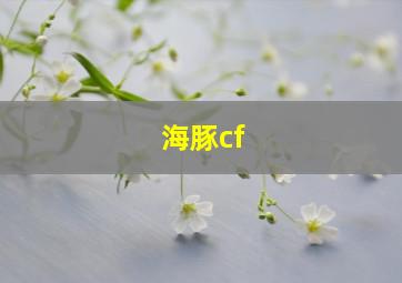 海豚cf