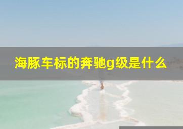 海豚车标的奔驰g级是什么