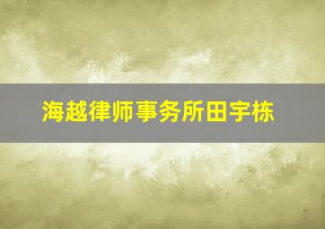 海越律师事务所田宇栋