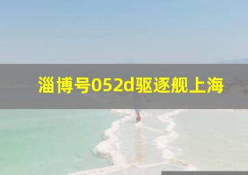 淄博号052d驱逐舰上海