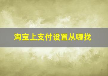 淘宝上支付设置从哪找