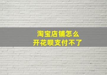 淘宝店铺怎么开花呗支付不了