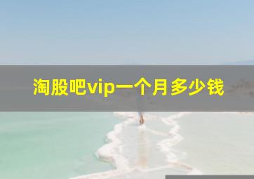 淘股吧vip一个月多少钱