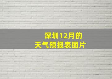 深圳12月的天气预报表图片