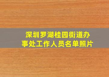 深圳罗湖桂园街道办事处工作人员名单照片