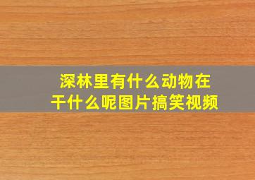 深林里有什么动物在干什么呢图片搞笑视频