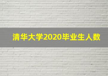 清华大学2020毕业生人数