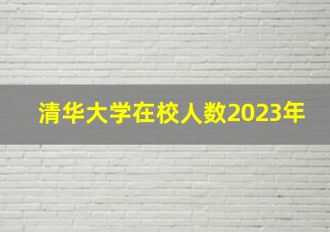 清华大学在校人数2023年